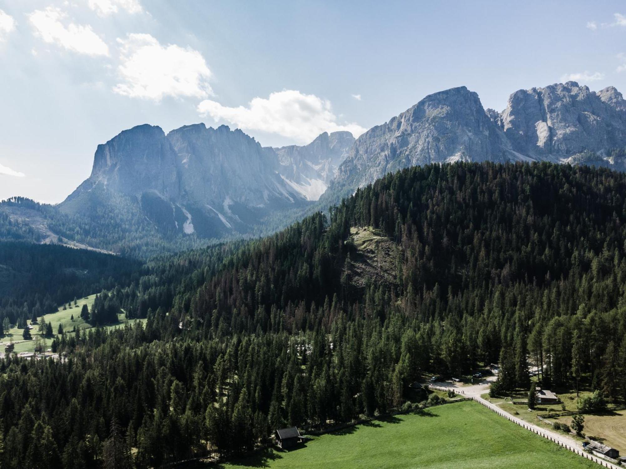 Hotel Pension Odles Сан-Мартино-ин-Бадия Экстерьер фото